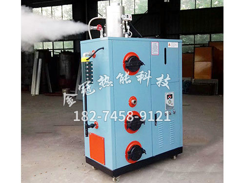 生物質(zhì)蒸汽發(fā)生器